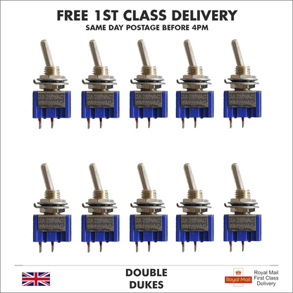 High Quality 2 Pin SPST ON OFF 2 Position Mini Toggle Switch Switches MTS101 - Dukes Supplies